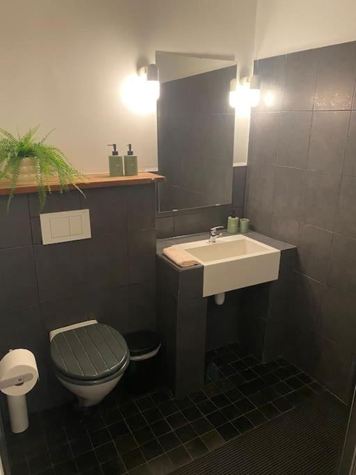 Apartament Studio Richard Antwerpia Zewnętrze zdjęcie